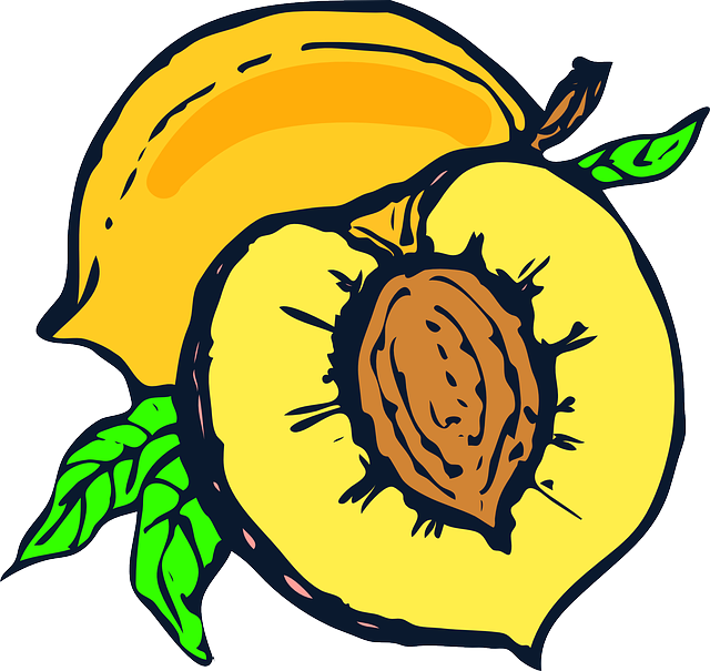 Plant Food, Fruit, Yellow, Cartoon, Free, Peach, Plant - Peach Clip Art - Free Transparent PNG Clipart Images Download. - Food Transparent PNG Free Download