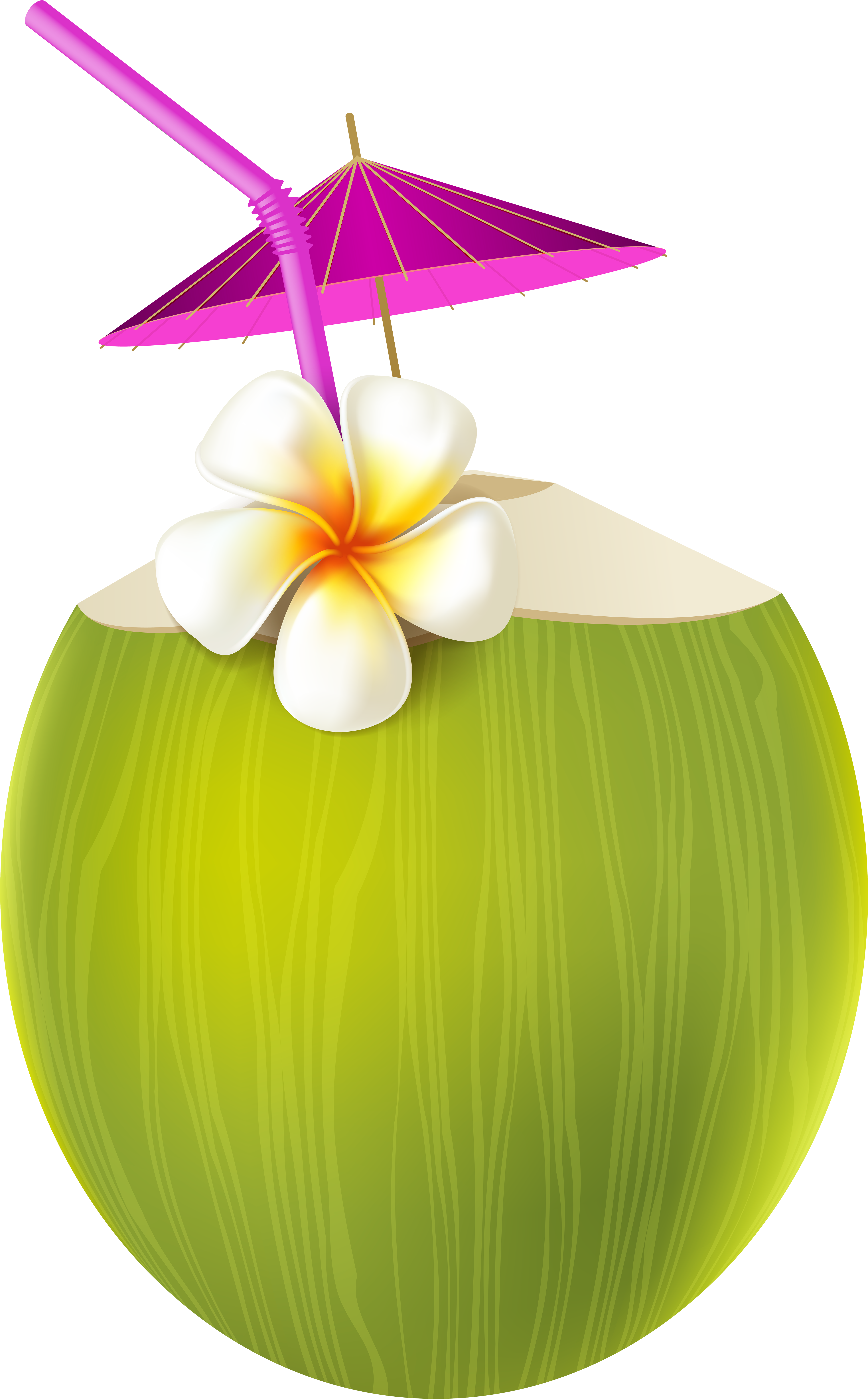 Aloha Party, Luau Party, Summer Parties, Pool Parties, - Summer Drinks Clipart Png - Free Transparent PNG Clipart Images Download. - Food Transparent PNG Free Download