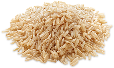Grain Clipart Single Rice Grain - Augason Farms Emergency Food Long Grain Brown Rice, - Free Transparent PNG Clipart Images Download. - Food Transparent PNG Free Download