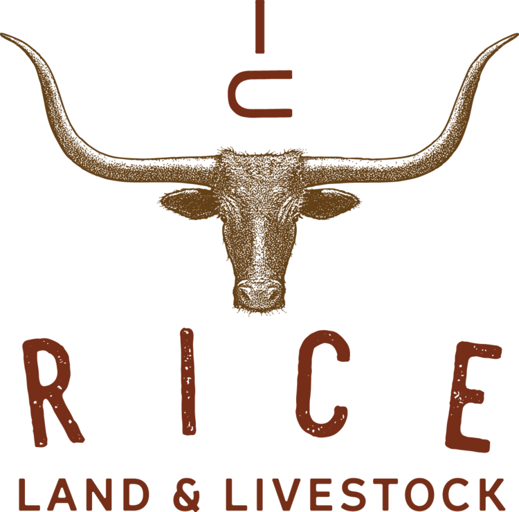Donkey Png Images Free Download - Riceland Foods Transparent PNG - 750x740 - Free Download on - Food Transparent PNG Free Download