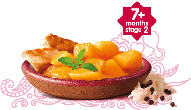 Jamaican Jerk Chicken - Aisha Jamaican Jerk Chicken With Mango Baby Food Transparent PNG - 650x650 - Free Download on - Food Transparent PNG Free Download