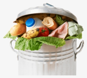 Don't Waste Food - Frisch Aus Der Tonne-der Glo Dvd Transparent PNG - 729x658 - Free Download on - Food Transparent PNG Free Download