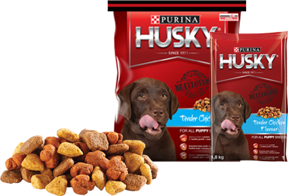 Purina Husky Puppy Chicken - Food For Husky Dog Transparent PNG - 420x286 - Free Download on - Food Transparent PNG Free Download