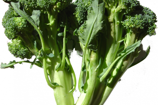 736px-broccoli Dsc00861 - Raw Foods For Varicose Veins Transparent PNG - 600x400 - Free Download on - Food Transparent PNG Free Download