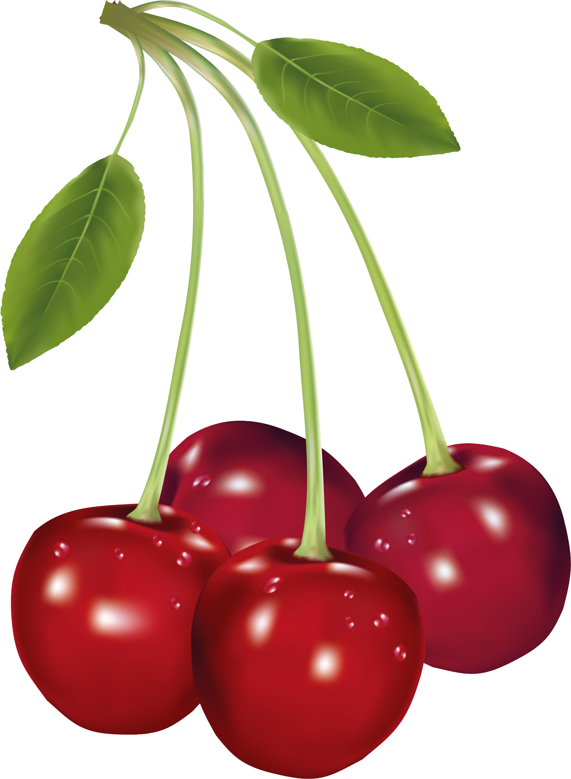 Food Clipart, Fruit Clipart, Birthday Clipart, Vegetables, - Clip Art Of Cherries - Free Transparent PNG Clipart Images Download. - Food Transparent PNG Free Download