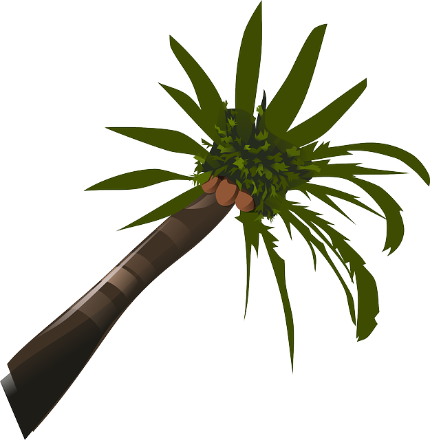 Brown, Green, Food, Palm, Tree, Cartoon, Trees, Plant - Palm Tree Clip Art - Free Transparent PNG Clipart Images Download. - Food Transparent PNG Free Download