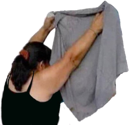 Lady Cajero Png - Meme Señora Tapando Png Transparent PNG - 500x438 - Free Download on - Food Transparent PNG Free Download