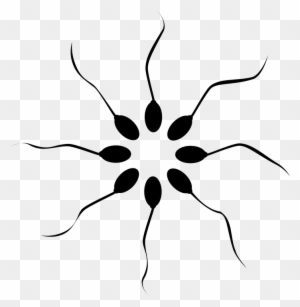 Cannabis Smoking Is Associated With Higher Sperm Count - Rebecca's Natural Foods - Free Transparent PNG Clipart Images Download. - Food Transparent PNG Free Download