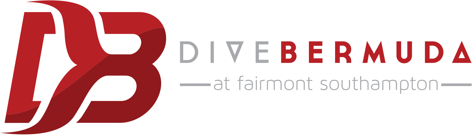 Dive Bermuda At Fairmont Southampton - Associated Foods Salt Lake City - Free Transparent PNG Clipart Images Download. - Food Transparent PNG Free Download
