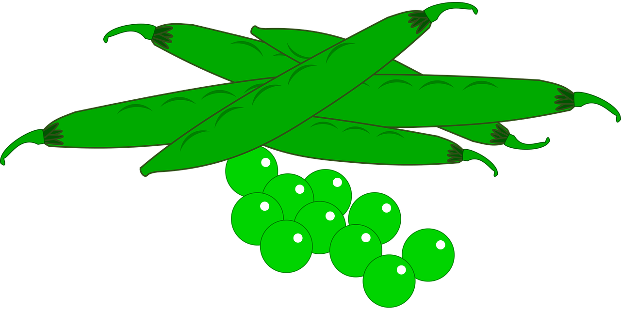 Garden Fresh Vegetables Food Free Photo From - Clipart Vegetables Peas Png Transparent PNG - 1280x640 - Free Download on - Food Transparent PNG Free Download