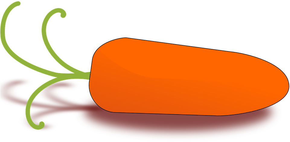 Carrot Clipart Orange Color - Food For Baby Drawing - Free Transparent PNG Clipart Images Download. - Food Transparent PNG Free Download