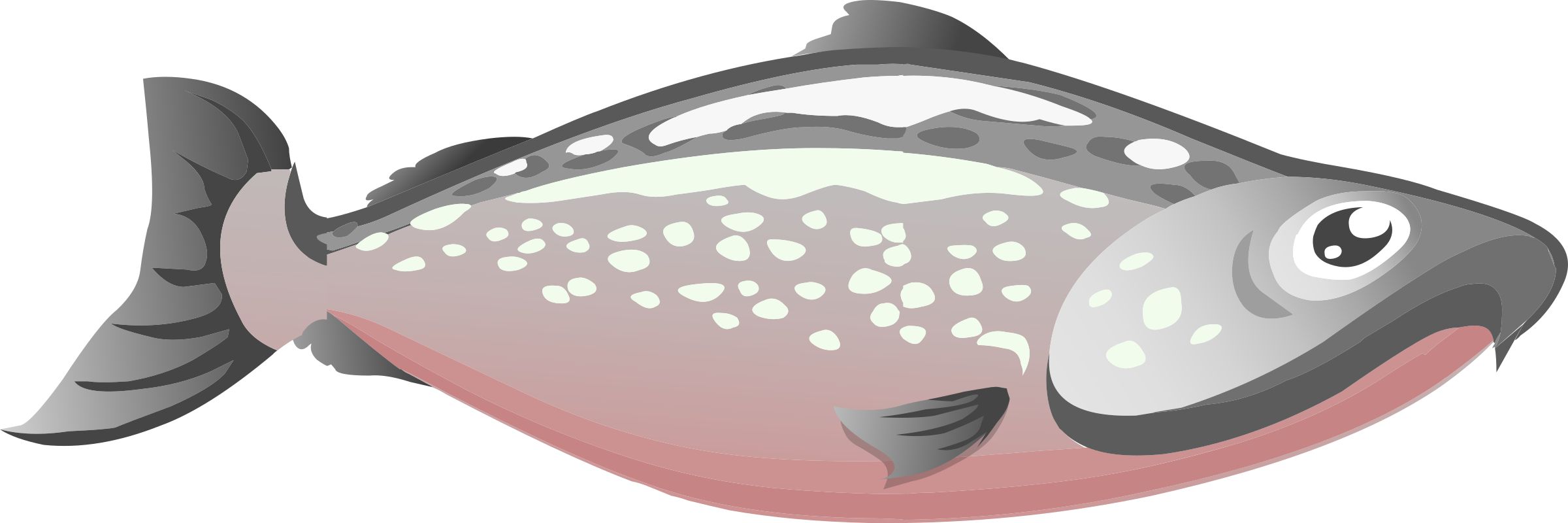 Chinook Salmon Sockeye Salmon Pink Salmon Salmon As - Salmon Png Transparent PNG - 2250x750 - Free Download on - Food Transparent PNG Free Download