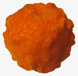 Food/ Fruit/ Orange Seville - Bitter Orange Png Transparent PNG - 400x391 - Free Download on - Food Transparent PNG Free Download
