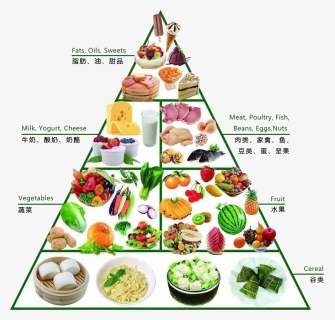 Food Pyramid Png - Free Download Food Pyramid, Transparent - Food Transparent PNG Free Download