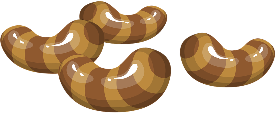 Orange Snake Cliparts 24, Buy Clip Art - Food - Free Transparent PNG Clipart Images Download. - Food Transparent PNG Free Download
