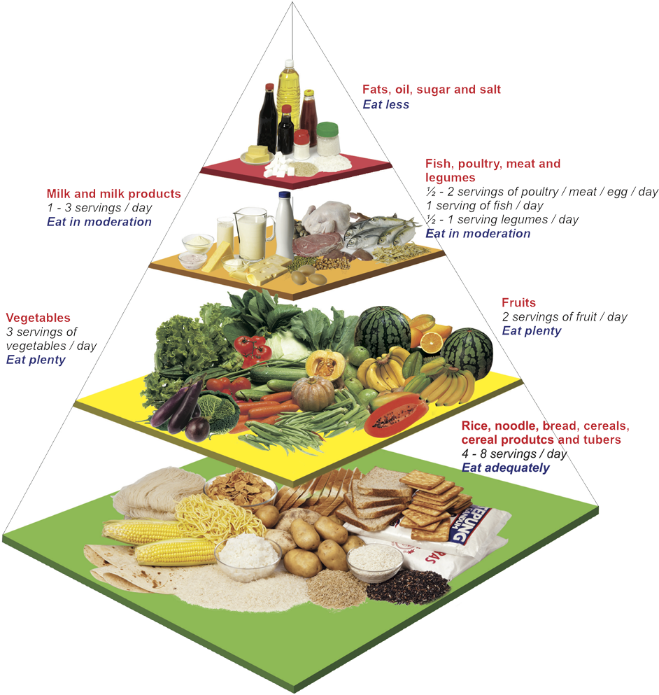 Malaysian Food Pyramid - Food Pyramid Malaysia 2018 Transparent PNG - 1000x1086 - Free Download on - Food Transparent PNG Free Download