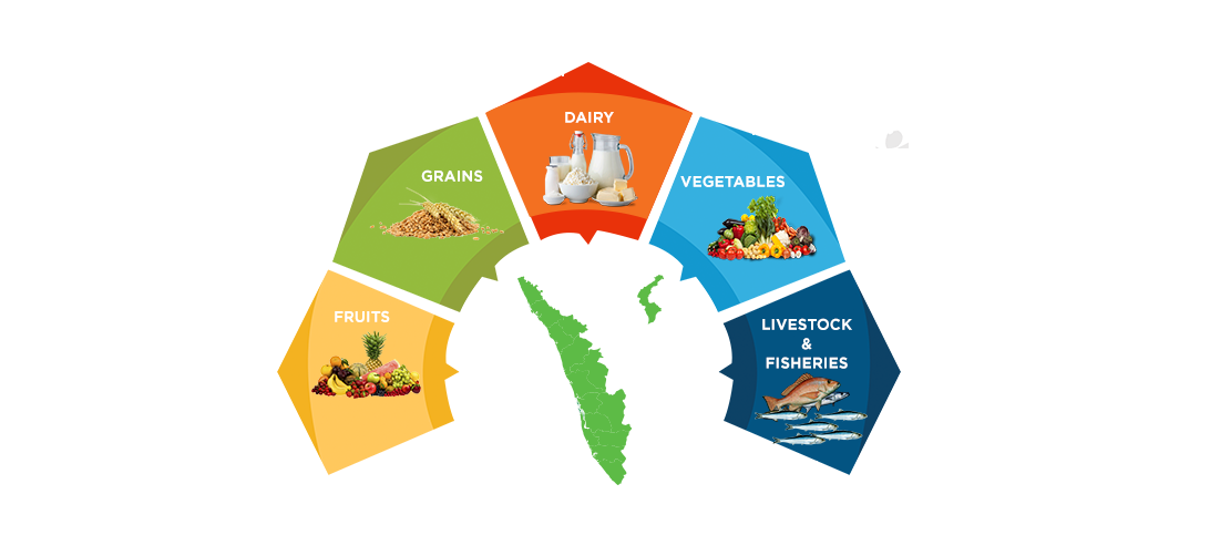 Key Production Statistics - Food Industries In Andhra Pradesh Transparent PNG - 1366x711 - Free Download on - Food Transparent PNG Free Download