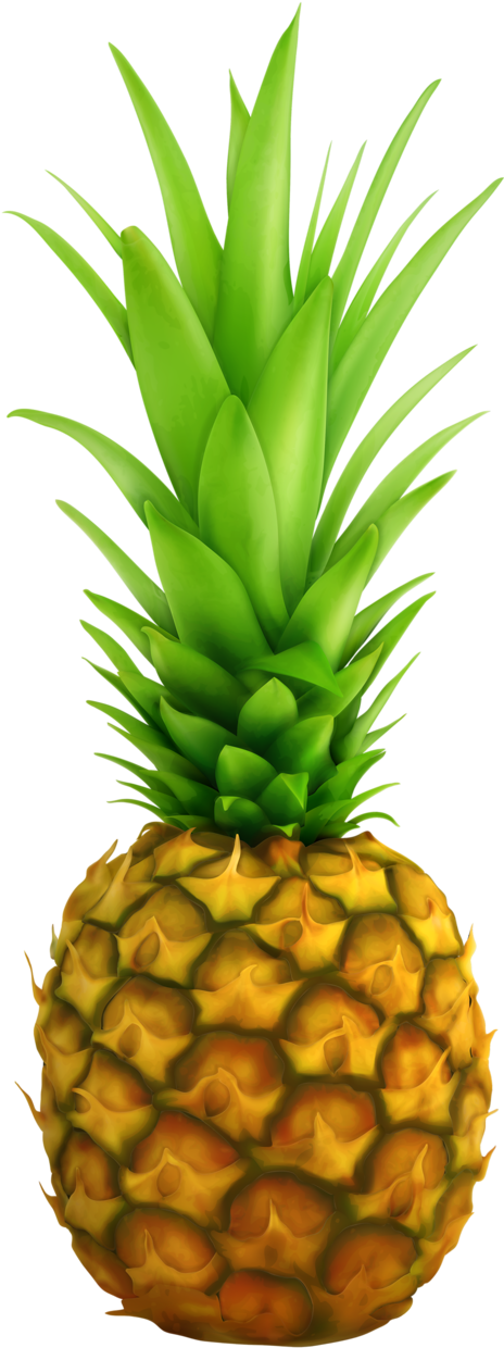 Clipart Fruit Painting, Fabric Painting, Food Clipart, - 4 Fruits Transparent PNG - 518x1280 - Free Download on - Food Transparent PNG Free Download