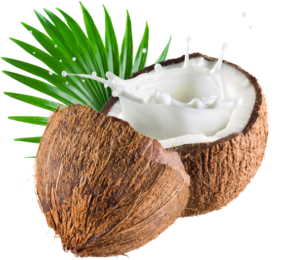 Орех, Кокос, Walnut, Coconut, Walnuss, Kokosnuss, Noix, - Z Natural Foods Coconut Milk Powder 5 Lbs - Free Transparent PNG Clipart Images Download. - Food Transparent PNG Free Download