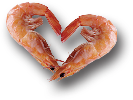 Farmer's Seafood Company Loves Seafood - Sea Food Png Transparent PNG - 461x358 - Free Download on - Food Transparent PNG Free Download