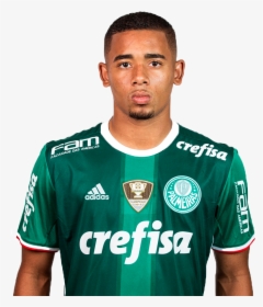 Fifa Football Gaming Wiki - Gabriel Jesus Palmeiras Png, Transparent - Football Transparent PNG Free Download