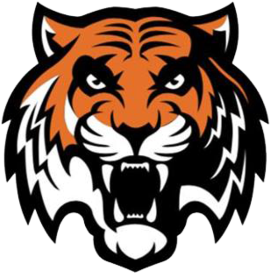 Bengals Bengals Defeat The Batavia Youth Football Bulldogs - Png Logos Of Tiger Transparent PNG - 720x576 - Free Download on - Football Transparent PNG Free Download