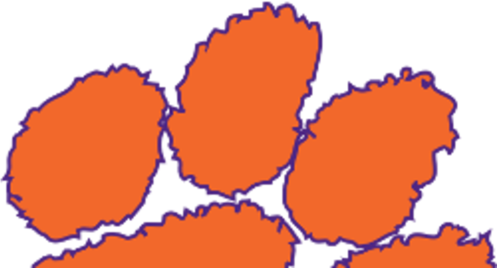 Clemson The Favorites To Win The Acc Football Title - Clemson Tigers Transparent PNG - 986x552 - Free Download on - Football Transparent PNG Free Download