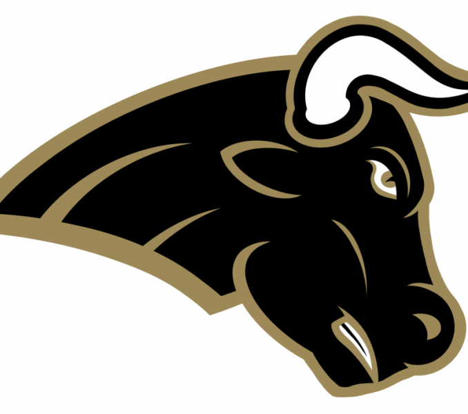 Bull Logo Free Bull Logo Sports Png Disney Junior Activity - Animal Logo Png Football Transparent PNG - 678x600 - Free Download on - Football Transparent PNG Free Download