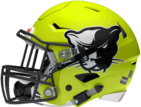 American Football Helmet Vinyl Wrap - Detroit Lions New Helmet 2017 Transparent PNG - 500x500 - Free Download on - Football Transparent PNG Free Download