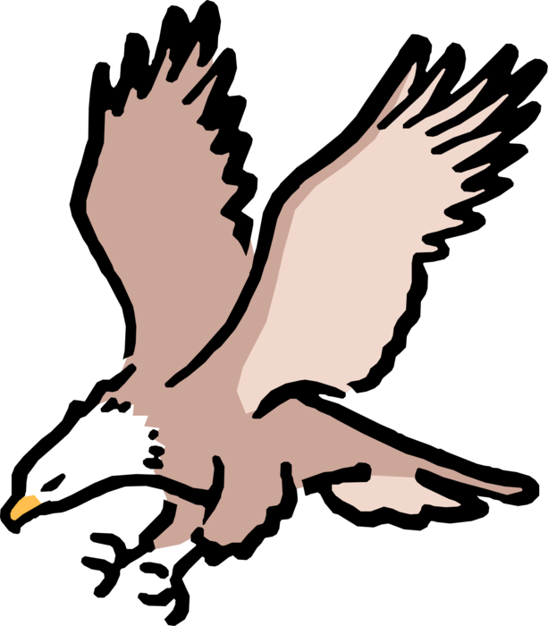 Vector Illustration Of Cartoon American Bald Eagle - Pioneers Football Club Alice Springs Transparent PNG - 613x700 - Free Download on - Football Transparent PNG Free Download