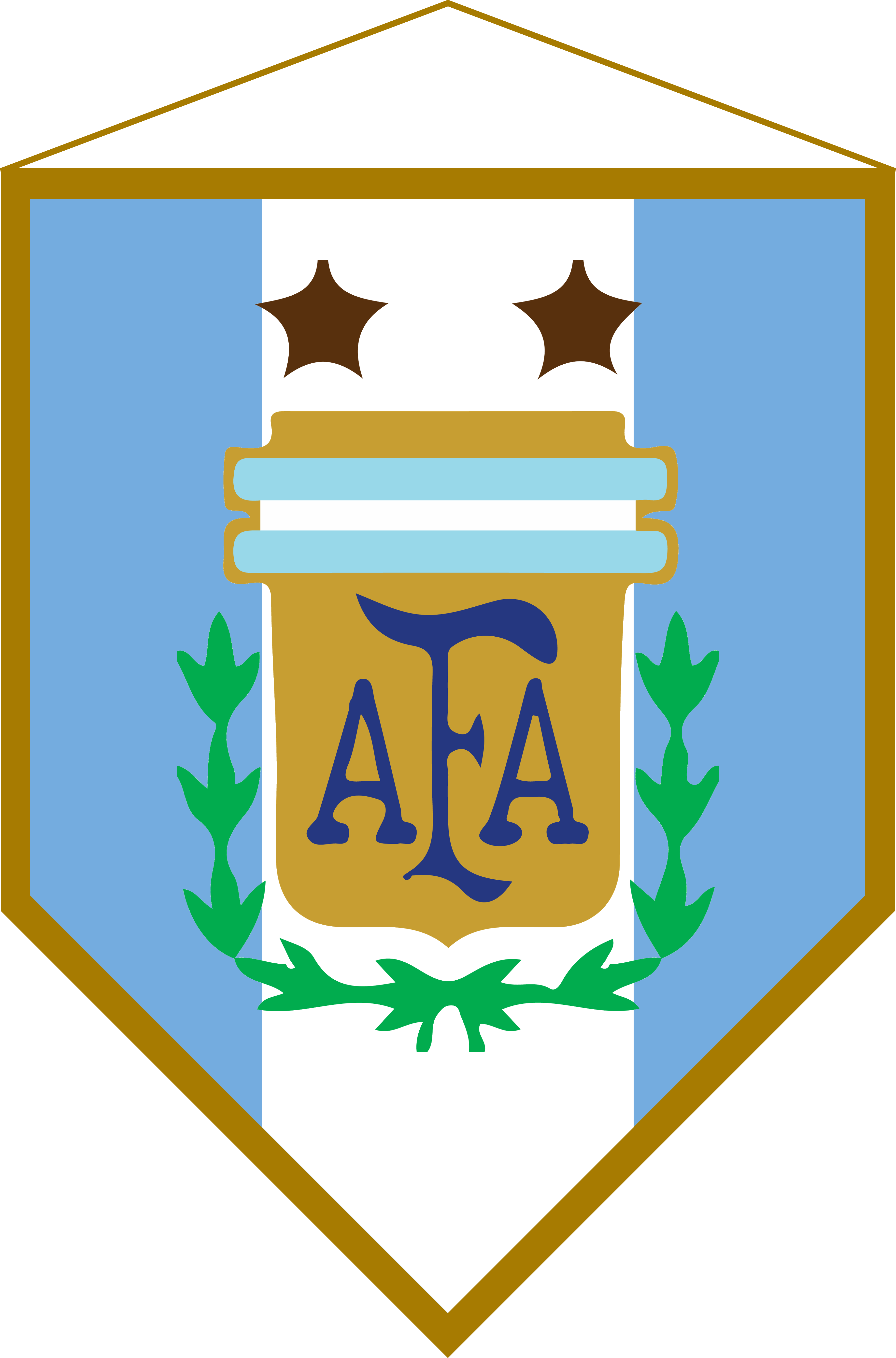 Logo Banderín Argentina - Argentina National Football Team Transparent PNG - 3647x5527 - Free Download on - Football Transparent PNG Free Download