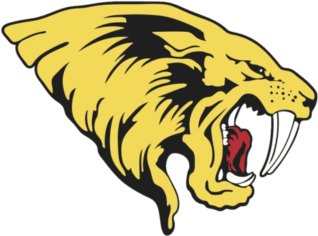 Saguaro Sabercats - Saguaro Sabercats Football Logo Transparent PNG - 480x355 - Free Download on - Football Transparent PNG Free Download