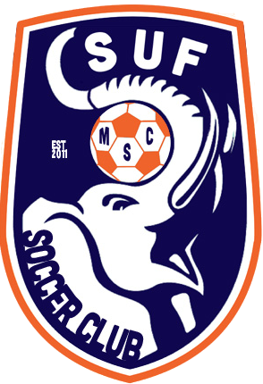 Csuf Club Crescent - Cote D Ivoire National Football Team Logo Transparent PNG - 294x430 - Free Download on - Football Transparent PNG Free Download