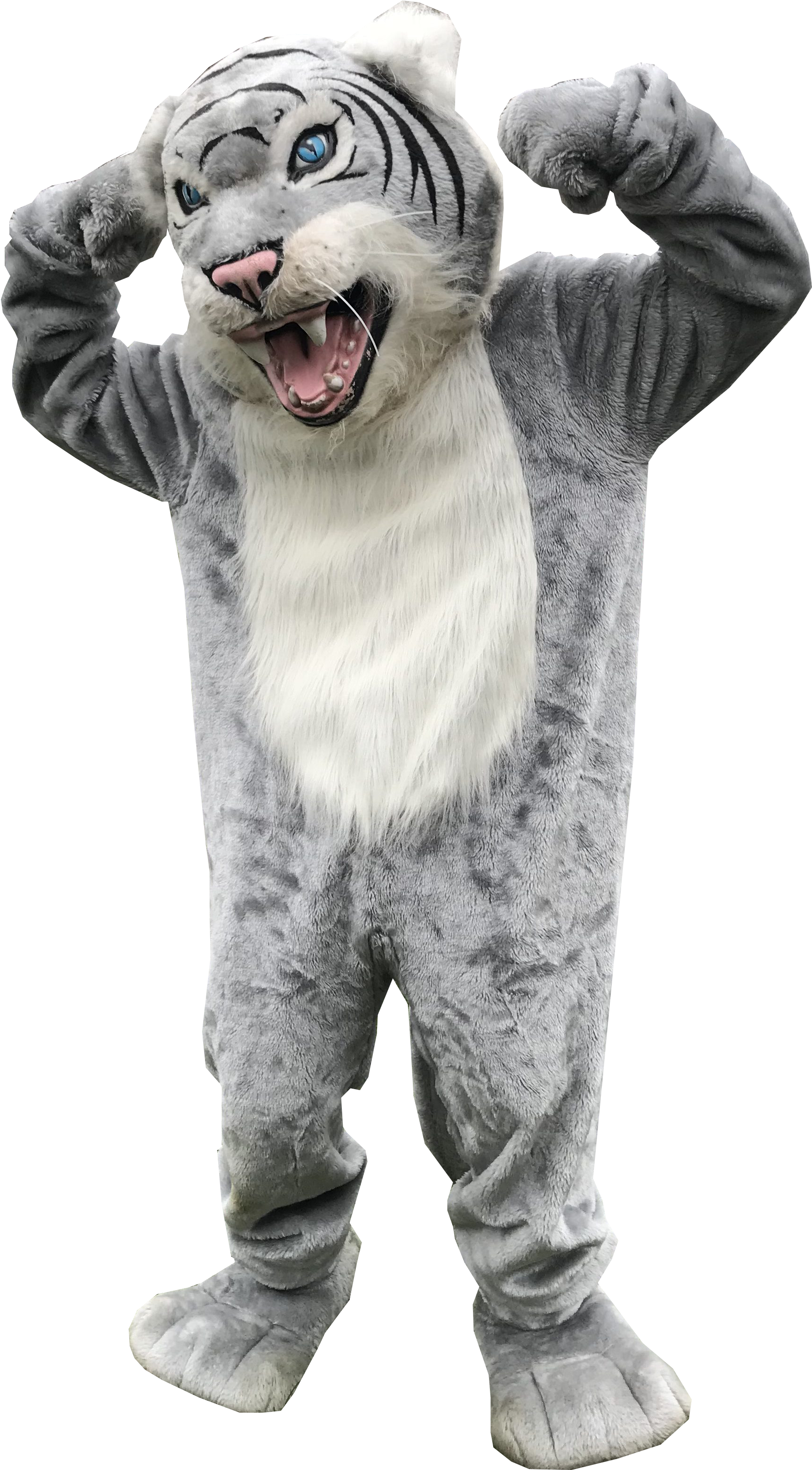 York Youth Football, York Junior Wildcats - York Transparent PNG - 1905x3205 - Free Download on - Football Transparent PNG Free Download