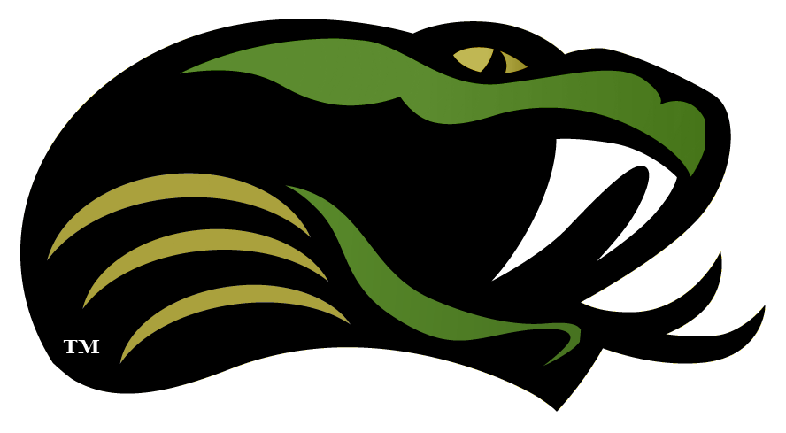 Head Only Cobras2012 Tm - Football Logo Transperent Png Transparent PNG - 1167x692 - Free Download on - Football Transparent PNG Free Download