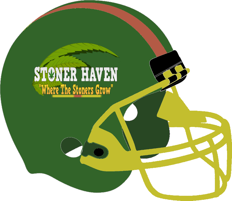 Pick-em - Football Helmet Clip Art Transparent PNG - 800x692 - Free Download on - Football Transparent PNG Free Download
