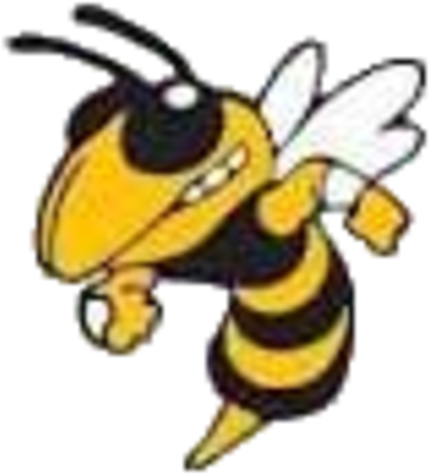 Hornet Clipart Hornet Football Mascot - Carver Center Midland Tx Transparent PNG - 720x791 - Free Download on - Football Transparent PNG Free Download