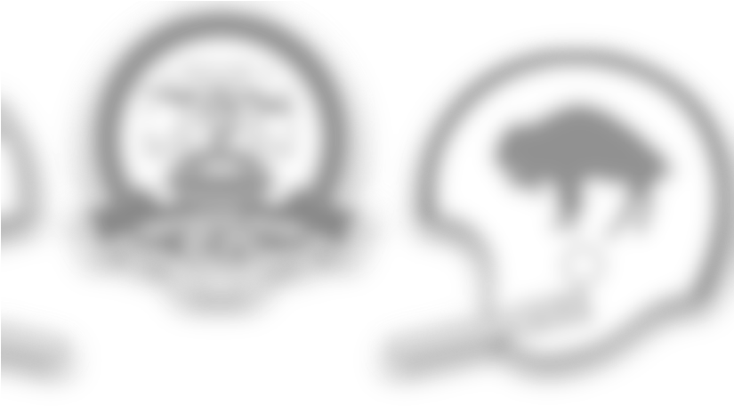 Patriots Fans Are Encouraged To Leave Early Or Take - Circle Transparent PNG - 824x464 - Free Download on - Football Transparent PNG Free Download
