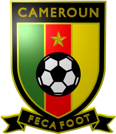 Ficheirofootball Federation Australia Logosvgpng - Fédération Camerounaise De Football Transparent PNG - 667x500 - Free Download on - Football Transparent PNG Free Download