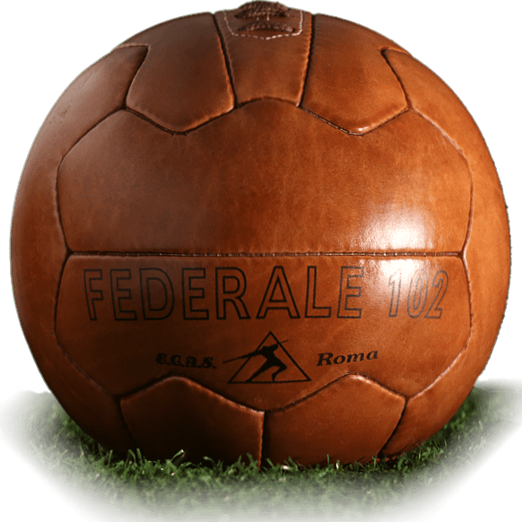 Federale 102 Is Official Match Ball Of World Cup - Kick American Football Transparent PNG - 582x582 - Free Download on - Football Transparent PNG Free Download