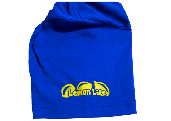 Basketball Has Ended And Football Just Began But It - Bag Transparent PNG - 600x519 - Free Download on - Football Transparent PNG Free Download