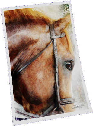 The English Sport Horse Watercolor - Sorrel Transparent PNG - 493x493 - Free Download on - Horse Transparent PNG Free Download