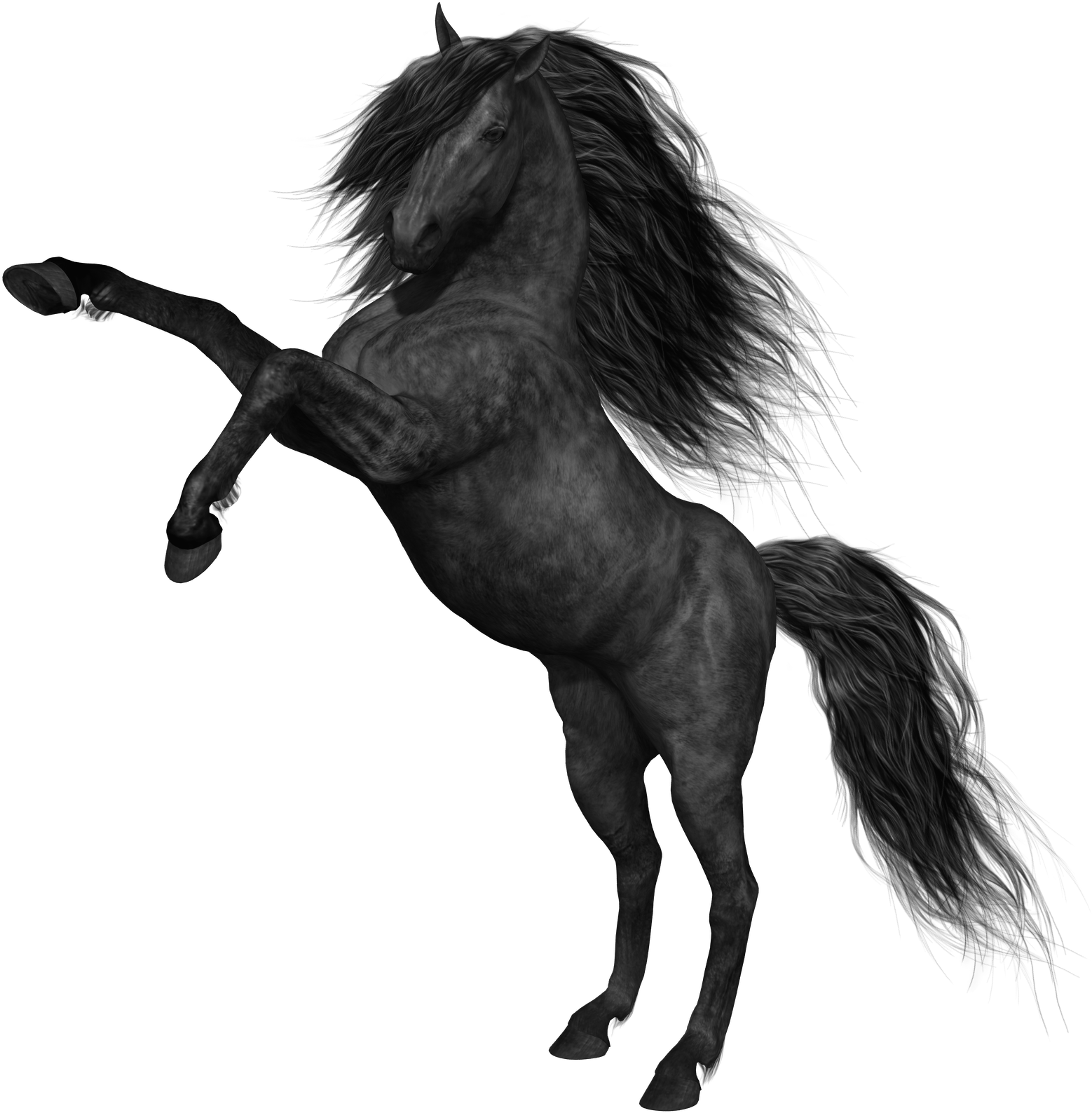 Black Horse Png Picture - Horse Png Images Hd Transparent PNG - 588x600 - Free Download on - Horse Transparent PNG Free Download