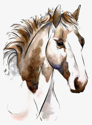 Graphic American Paint Painting Horses In Art Equestrianism - Watercolor Horse Png Transparent PNG - 564x705 - Free Download on - Horse Transparent PNG Free Download