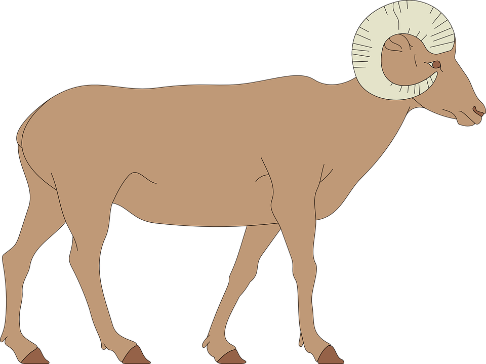 Walking Horse Cliparts 19, Buy Clip Art - Draw A Bighorn Sheep - Free Transparent PNG Clipart Images Download. - Horse PNG Walking Horse Cliparts 19, Buy Clip Art - Draw A Bighorn Sheep - Free Transparent PNG Clipart Images Download. - Horse Transparent PNG Free Download