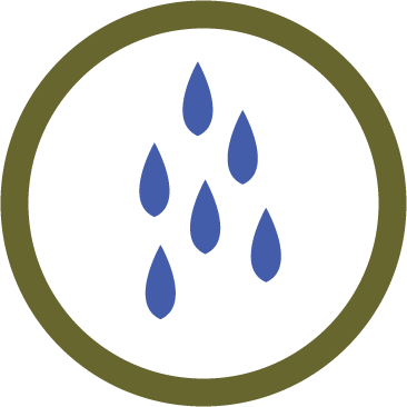 If You Fear The Horse Will Eat The Pellets - Circle - Free Transparent PNG Clipart Images Download. - Horse Transparent PNG Free Download