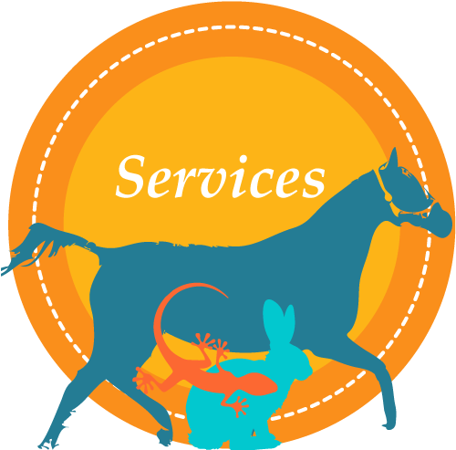 Other Horses May Not Show Noticeable Signs, Because - Other Horses May Not Show Noticeable Signs, Because - Free Transparent PNG Clipart Images Download. - Horse Transparent PNG Free Download