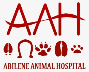 Aahpa - Horse Transparent PNG - 641x520 - Free Download on - Horse Transparent PNG Free Download