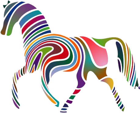 Equine Anatomy And Biomechanics - Horse Of A Different Color Idiom - Free Transparent PNG Clipart Images Download. - Horse Transparent PNG Free Download