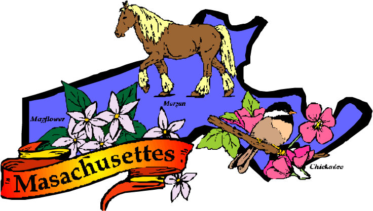 Horse Camping Is Being Considered So Those With Horses - Massachusetts State Clip Art - Free Transparent PNG Clipart Images Download. - Horse Transparent PNG Free Download